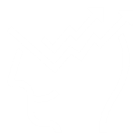 Logo Terrax Investment